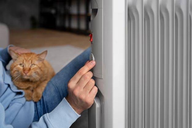 EpiDom.ru | Какие радиаторы отопления лучше ставить в квартире чугунные или биметаллические